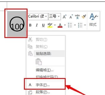 word2013Ȧ100