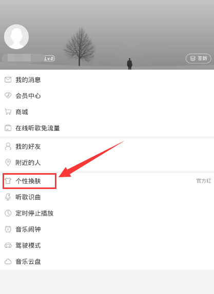 网易云音乐怎么换皮肤,网易云音乐app更换皮肤的方法