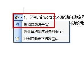 word怎么设置取消自动编号-word取消自动编号的方法