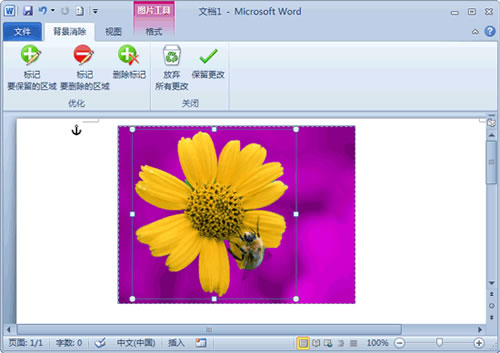 Word 2010: ȥͼƬı 