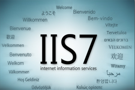 IISv6.0(图1)