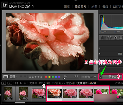 Lightroom