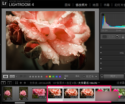 Lightroom