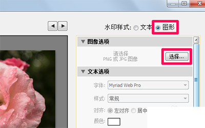 Lightroom