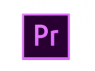 ͨPremiereһ沥ŶƵĲ