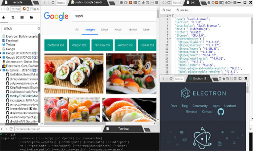 ˾(Sushi Browser)ͼ1