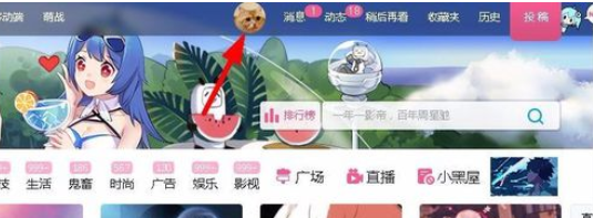 bilibili޸˺