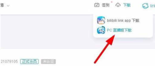 bilibiliֱϷķ