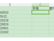 ExcelͬһԪݵַ
