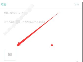 lesdoôƬ̬ķ[ͼ]ͼƬ2