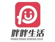 app˵ľ